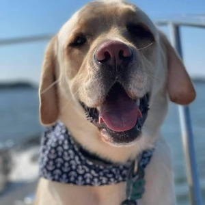 Fundraising Page: Susie Lombardi